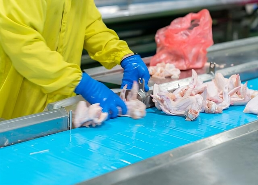 Thailand Chicken Wing Exporter to China