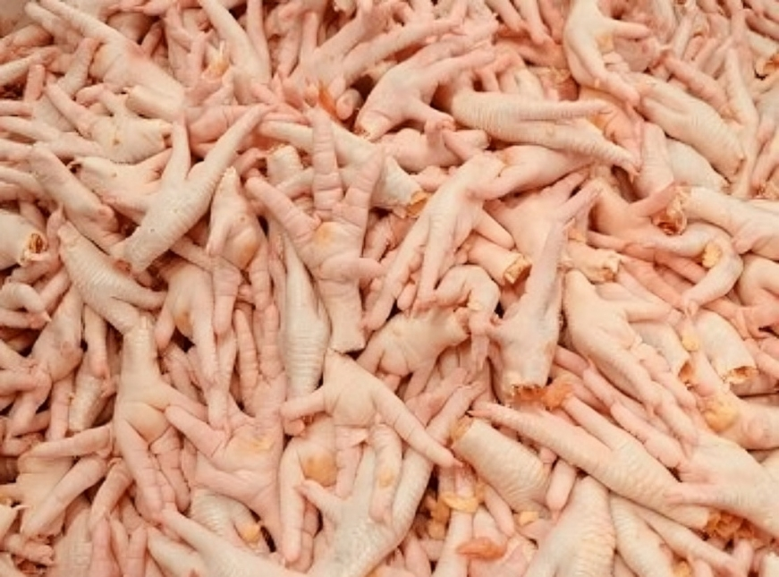 Thailand Chicken Paws Exporter to China: The Complete Market Guide & Why THAI POULTRY GROUP CO., LTD Leads the Industry