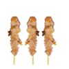 Chicken Yakitori Soya Sauce
