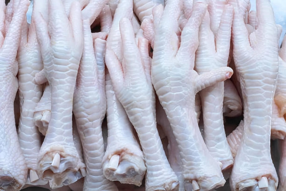 GACC Approved Thailand Poultry Suppliers