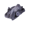 Premium Black Chicken Supplier from Thailand | Frozen Black Chicken Exporter | THAI POULTRY GROUP CO., LTD