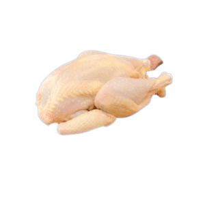 Frozen Botak Chicken from THAI POULTRY GROUP CO., LTD
