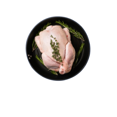 Premium Frozen Spring Chicken Supplier from Thailand | THAI POULTRY GROUP CO., LTD