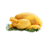 Premium Kampung Chicken Supplier from Thailand | Frozen Kampung Chicken Exporter | THAI POULTRY GROUP CO., LTD