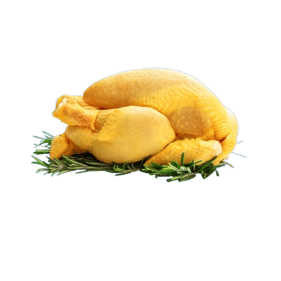 Premium Kampung Chicken Supplier from Thailand | Frozen Kampung Chicken Exporter | THAI POULTRY GROUP CO., LTD